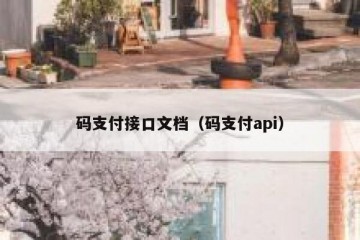 码支付接口文档（码支付api）
