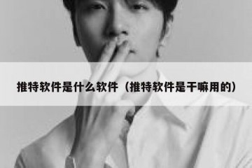推特软件是什么软件（推特软件是干嘛用的）