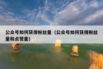 公众号如何获得粉丝量（公众号如何获得粉丝量和点赞量）