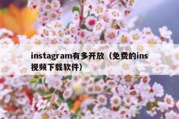 instagram有多开放（免费的ins视频下载软件）