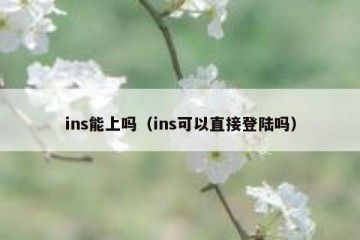 ins能上吗（ins可以直接登陆吗）