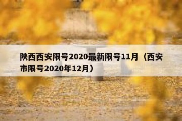陕西西安限号2020最新限号11月（西安市限号2020年12月）