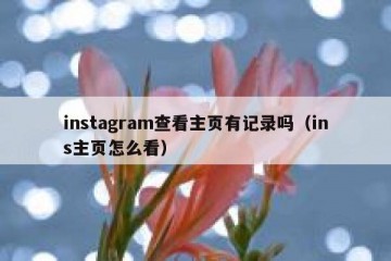 instagram查看主页有记录吗（ins主页怎么看）