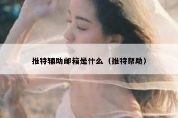 推特辅助邮箱是什么（推特帮助）