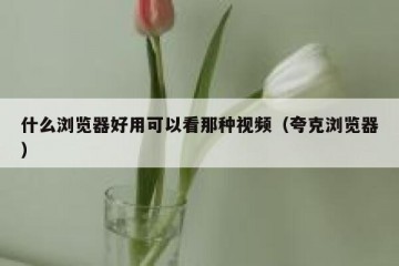 什么浏览器好用可以看那种视频（夸克浏览器）