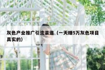 灰色产业推广引流渠道（一天赚5万灰色项目真实的）