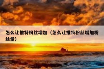 怎么让推特粉丝增加（怎么让推特粉丝增加粉丝量）