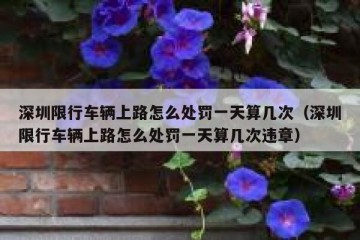 深圳限行车辆上路怎么处罚一天算几次（深圳限行车辆上路怎么处罚一天算几次违章）