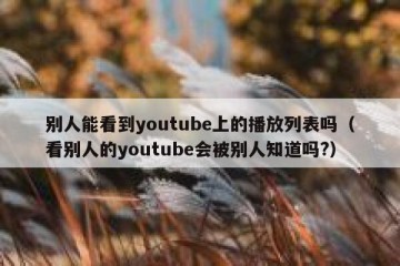 别人能看到youtube上的播放列表吗（看别人的youtube会被别人知道吗?）