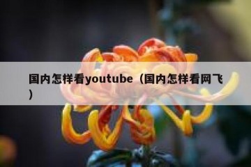 国内怎样看youtube（国内怎样看网飞）