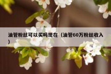 油管粉丝可以买吗现在（油管60万粉丝收入）