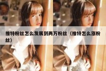 推特粉丝怎么发展到两万粉丝（推特怎么涨粉丝）