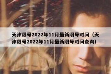 天津限号2022年11月最新限号时间（天津限号2022年11月最新限号时间查询）