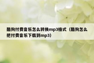 酷狗付费音乐怎么转换mp3格式（酷狗怎么把付费音乐下载到mp3）