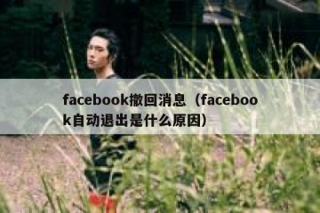 facebook撤回消息（facebook自动退出是什么原因）