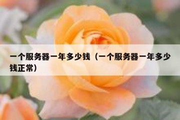 一个服务器一年多少钱（一个服务器一年多少钱正常）