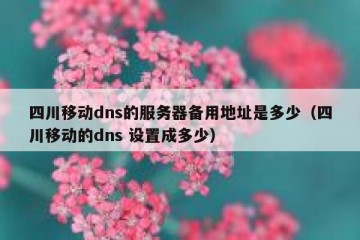 四川移动dns的服务器备用地址是多少（四川移动的dns 设置成多少）