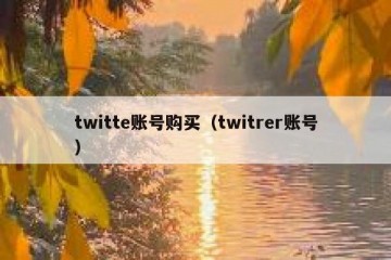 twitte账号购买（twitrer账号）