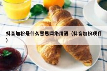 抖音加粉是什么意思网络用语（抖音加粉项目）