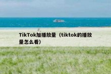 TikTok加播放量（tiktok的播放量怎么看）