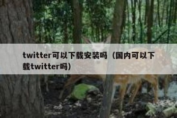 twitter可以下载安装吗（国内可以下载twitter吗）