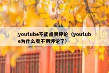 youtube不能点赞评论（youtube为什么看不到评论了）
