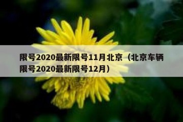 限号2020最新限号11月北京（北京车辆限号2020最新限号12月）