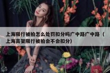 上海限行被拍怎么处罚扣分吗广中路广中路（上海高架限行被拍会不会扣分）