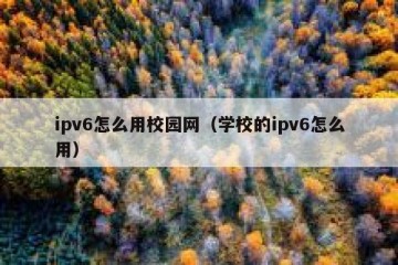 ipv6怎么用校园网(学校的ipv6怎么用)
