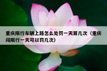 重庆限行车辆上路怎么处罚一天算几次（重庆闯限行一天可以罚几次）