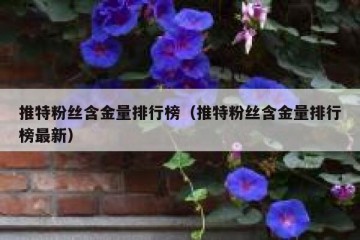 推特粉丝含金量排行榜（推特粉丝含金量排行榜最新）