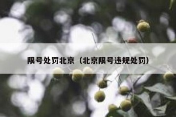 限号处罚北京（北京限号违规处罚）