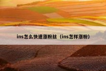 ins怎么快速涨粉丝（ins怎样涨粉）