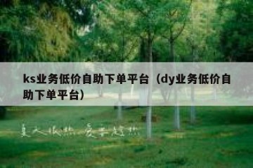ks业务低价自助下单平台（dy业务低价自助下单平台）