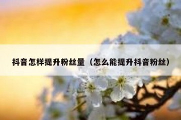 抖音怎样提升粉丝量（怎么能提升抖音粉丝）