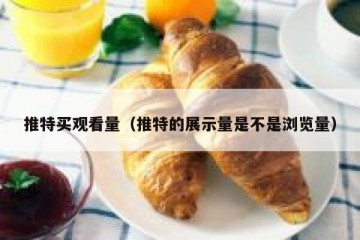 推特买观看量（推特的展示量是不是浏览量）