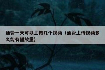 油管一天可以上传几个视频（油管上传视频多久能有播放量）