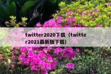 twitter2020下载（twitter2021最新版下载）