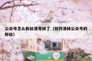 公众号怎么粉丝清零掉了（如何清掉公众号的粉丝）