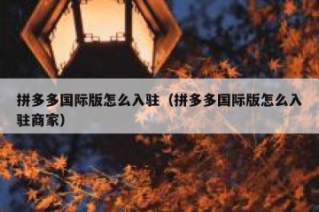 拼多多国际版怎么入驻（拼多多国际版怎么入驻商家）