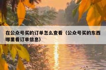 在公众号买的订单怎么查看（公众号买的东西哪里看订单信息）