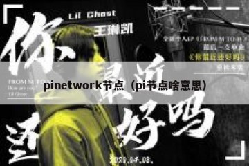 pinetwork节点（pi节点啥意思）
