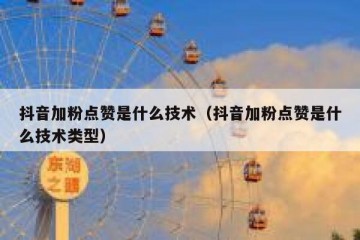 抖音加粉点赞是什么技术（抖音加粉点赞是什么技术类型）