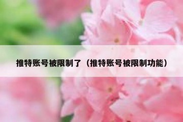 推特账号被限制了（推特账号被限制功能）
