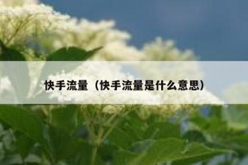 快手流量（快手流量是什么意思）