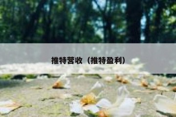推特营收（推特盈利）