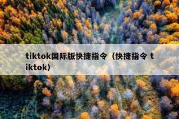 tiktok国际版快捷指令（快捷指令 tiktok）