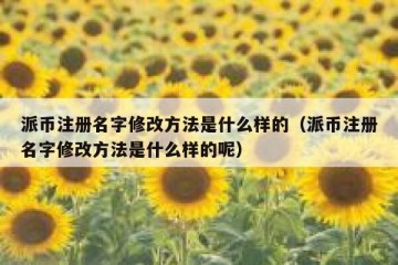 派币注册名字修改方法是什么样的（派币注册名字修改方法是什么样的呢）