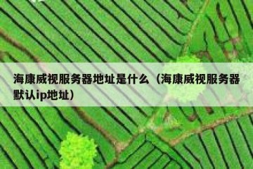海康威视服务器地址是什么（海康威视服务器默认ip地址）