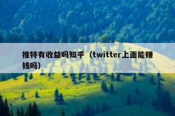 推特有收益吗知乎（twitter上面能赚钱吗）